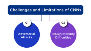 Challenges and Limitations of CNNs