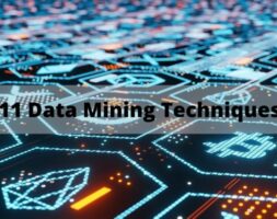 11 Data Mining Techniques