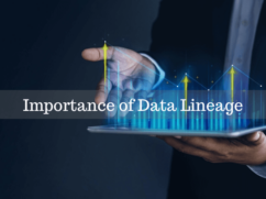 Data Lineage Importance