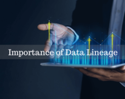 Data Lineage Importance