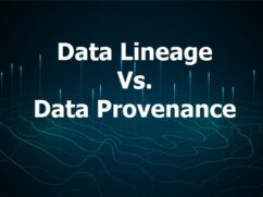 Data Lineage Vs Data Provenance