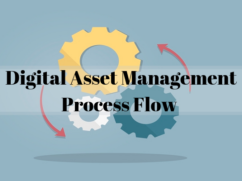 Digital Asset Management Process Flow