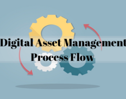 Digital Asset Management Process Flow