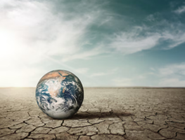 Kenvue Drives Climate Action Strategy Forward